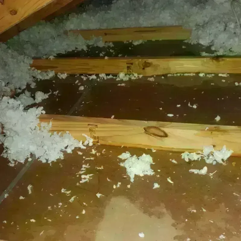 Attic Water Damage in Sweetwater, FL