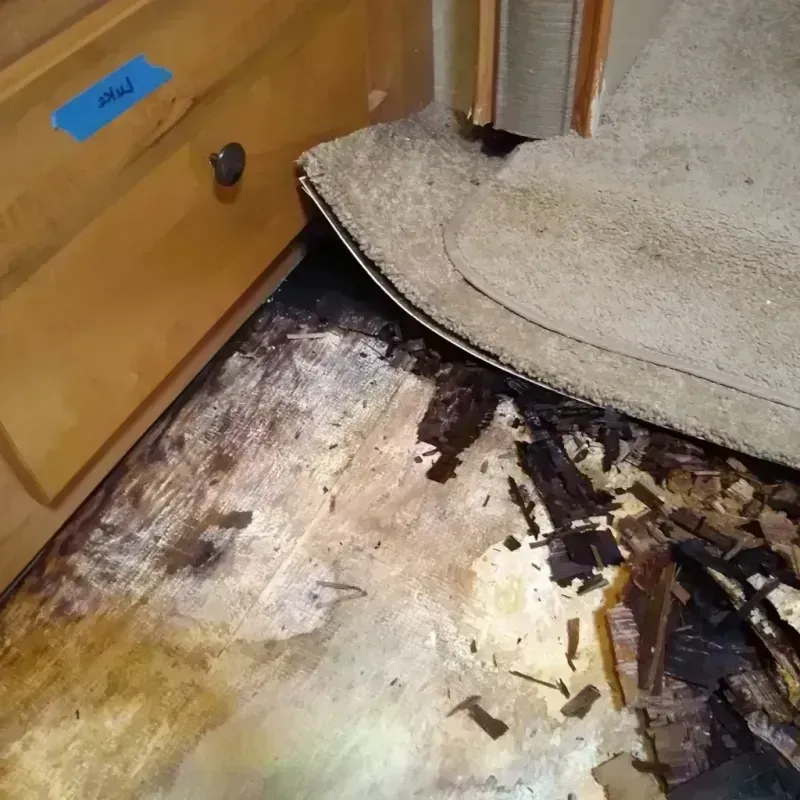 Wood Floor Water Damage in Sweetwater, FL